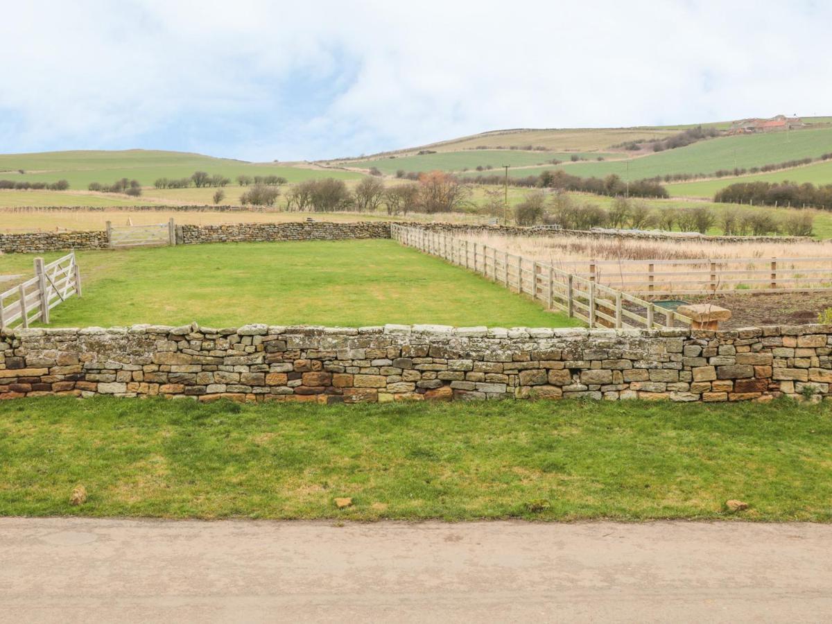 Street House Farm Cottage Saltburn-by-the-Sea Bagian luar foto